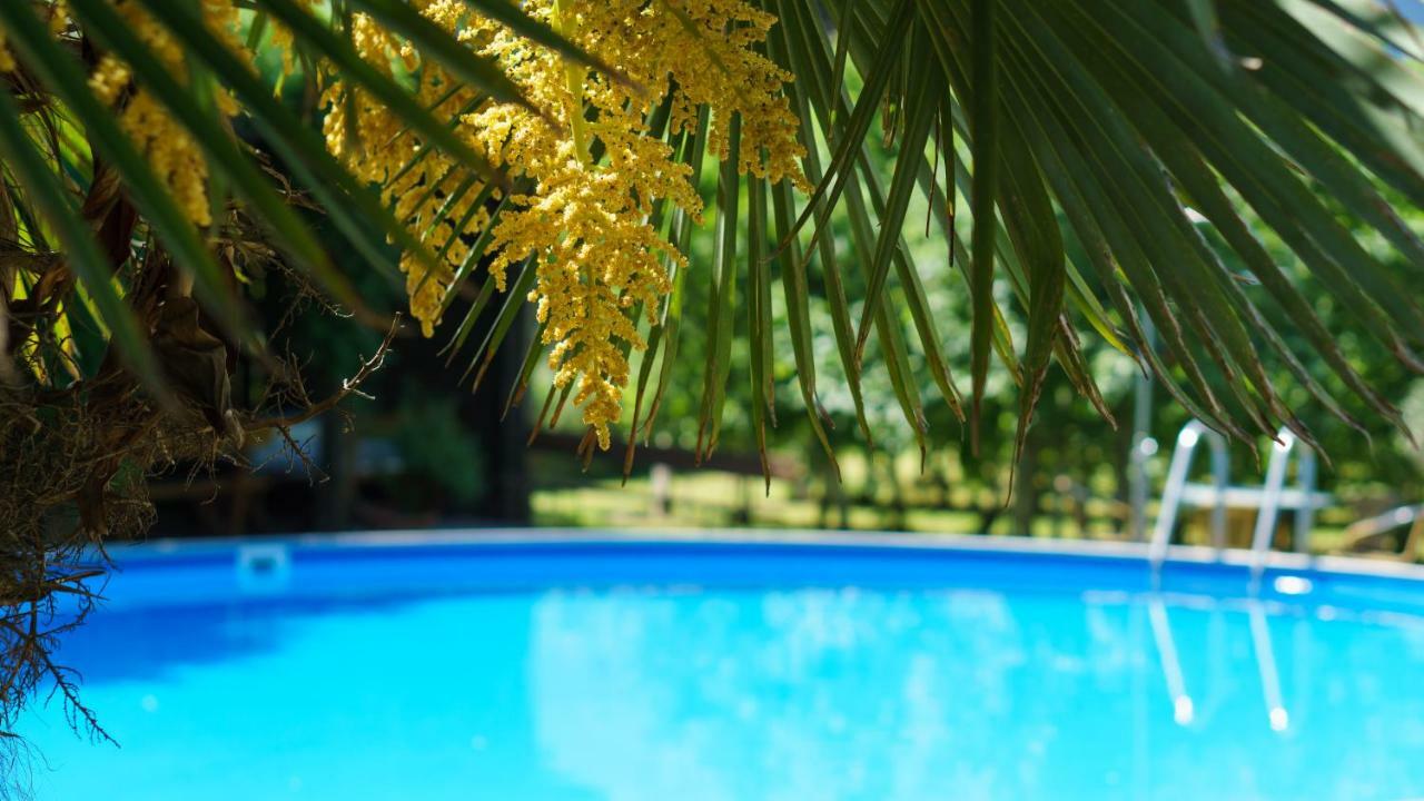Pension Sunnhofer Vilpiano ภายนอก รูปภาพ